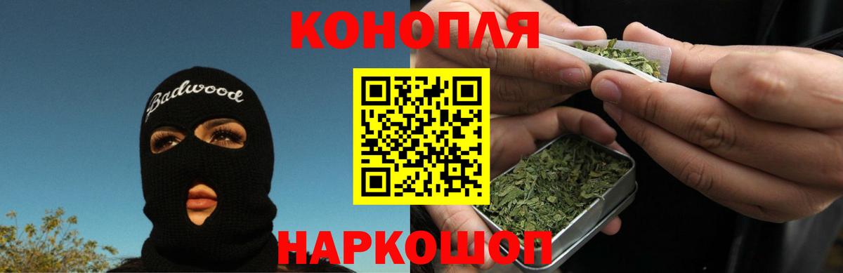 Канабис сатива Озёры